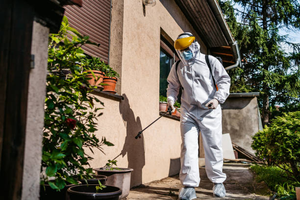 Best Residential Pest Control  in South Rockwood, MI