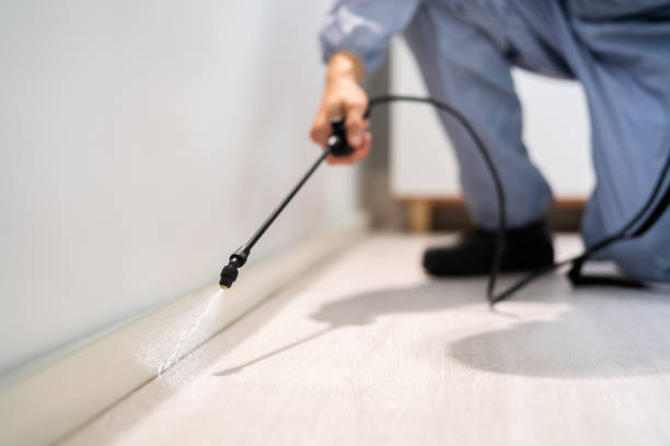 Best Pest Removal Services  in South Rockwood, MI