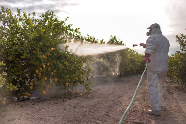 Best Pest Inspection Near Me  in South Rockwood, MI