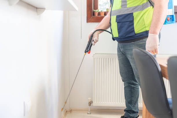 Professional Pest Control in South Rockwood, MI