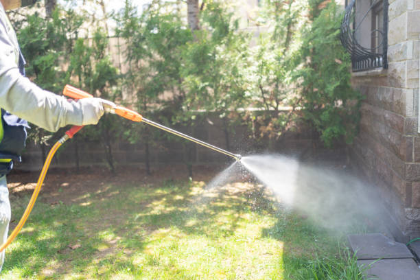 Best Affordable Pest Control Services  in South Rockwood, MI