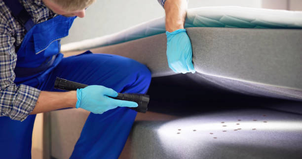 Best Emergency Pest Control  in South Rockwood, MI