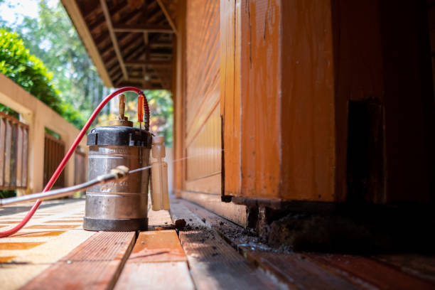 Pest Control for Restaurants in South Rockwood, MI