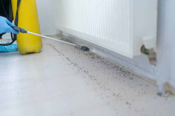 Best Best Pest Control Companies  in South Rockwood, MI